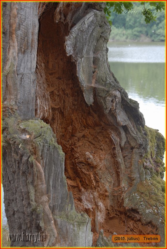 (2015.julius)Trebon-112.jpg