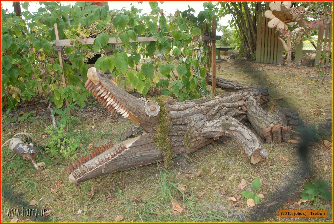 (2015.julius)Trebon-125.jpg