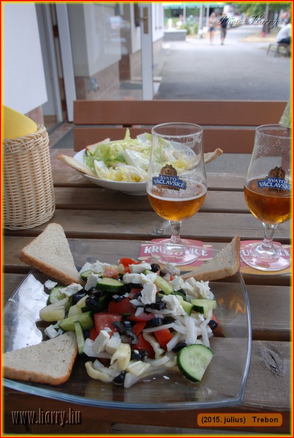 (2015.julius)Trebon-146.jpg