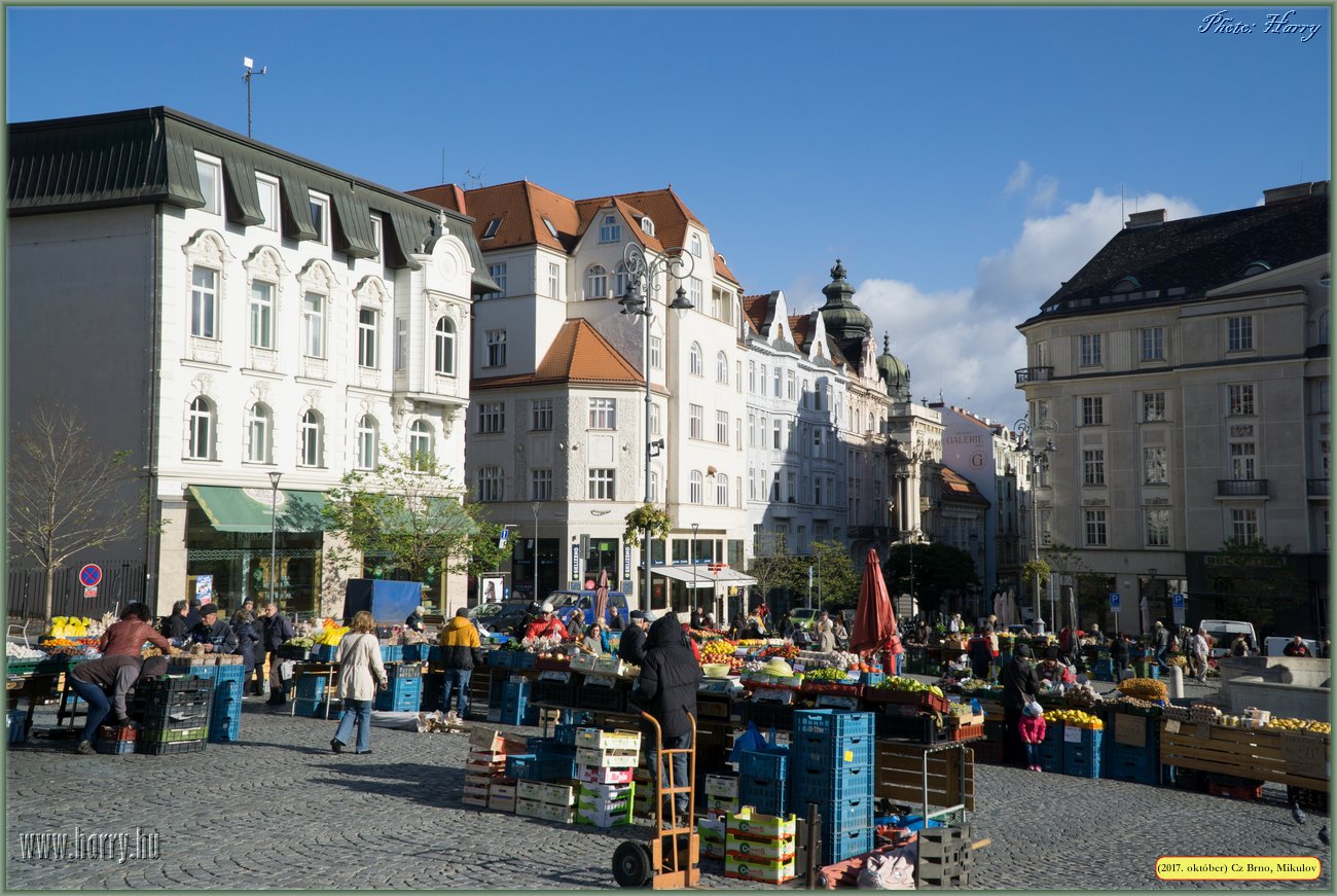 (2017.10.29-31.)Brno_Mikulov-074.jpg