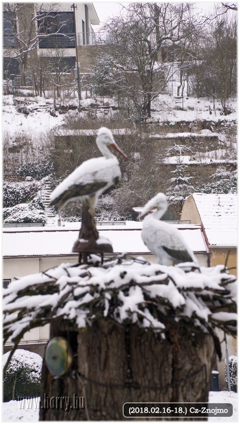 (2018.02.16-18.)Cz-Znojmo-137.jpg