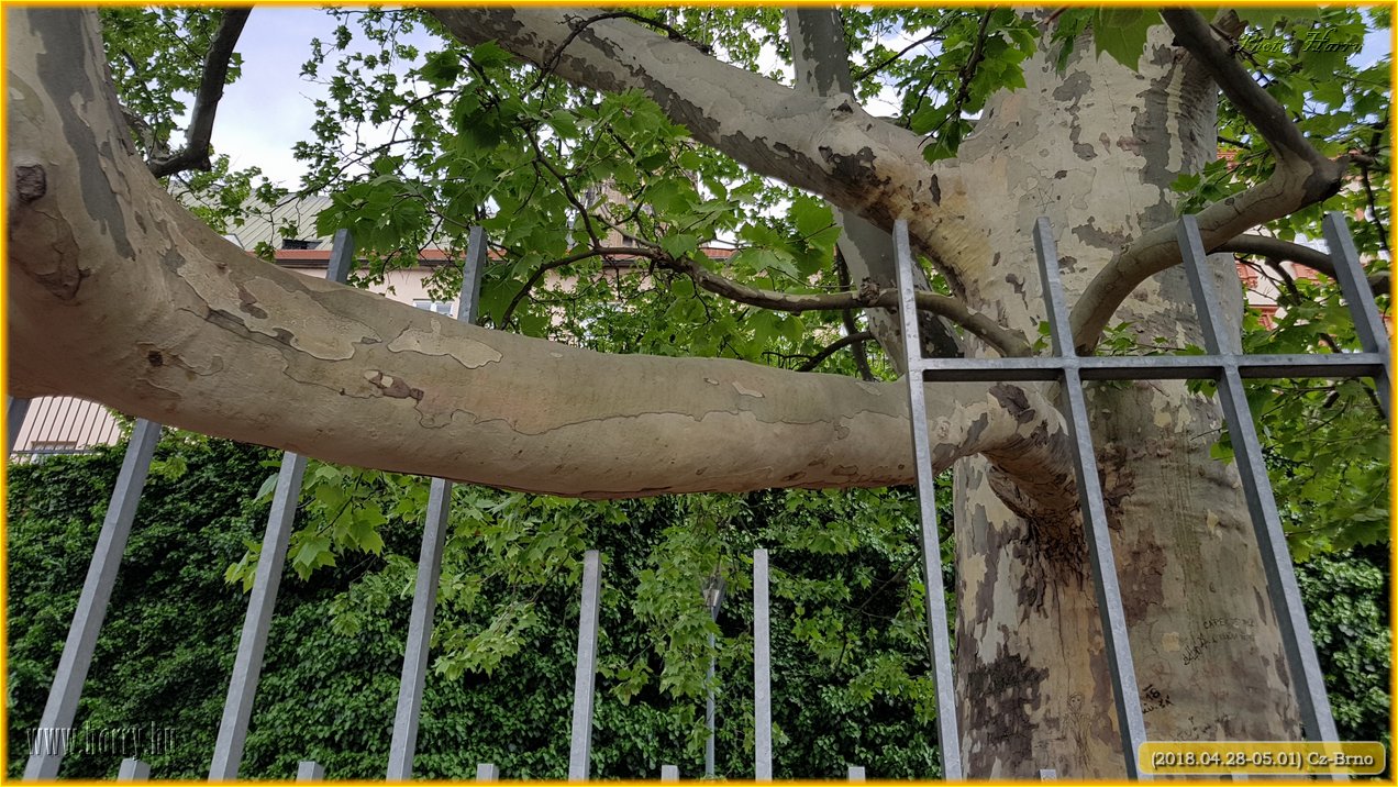 (2018.04.28-05.01)Cz-Brno-185.jpg