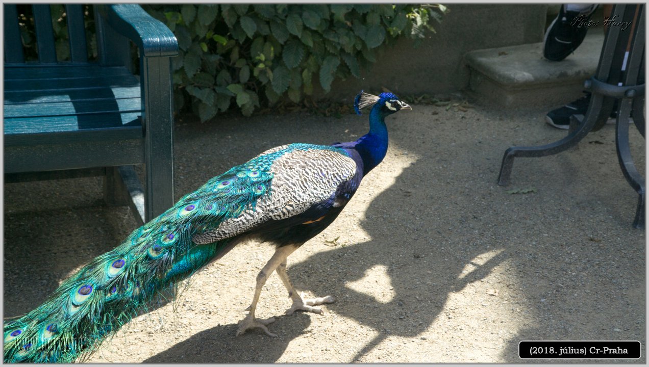 (2018.julius)Cz-Praga-253.jpg