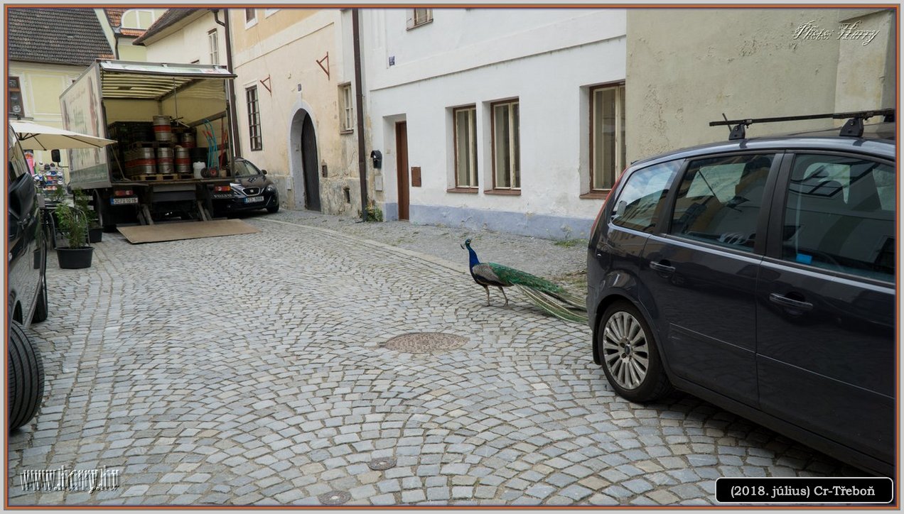 (2018.julius)Cz-Trebon-42.jpg