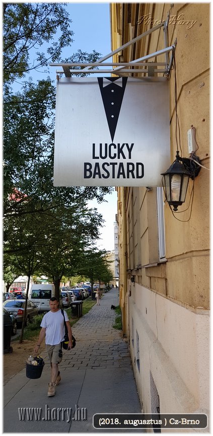 (2018.augusztus)Cz-Brno-060.jpg
