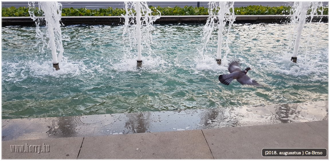 (2018.augusztus)Cz-Brno-117.jpg