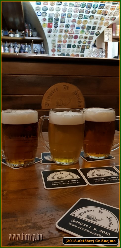 (2018.oktober)Cz-Znojmo-100.jpg