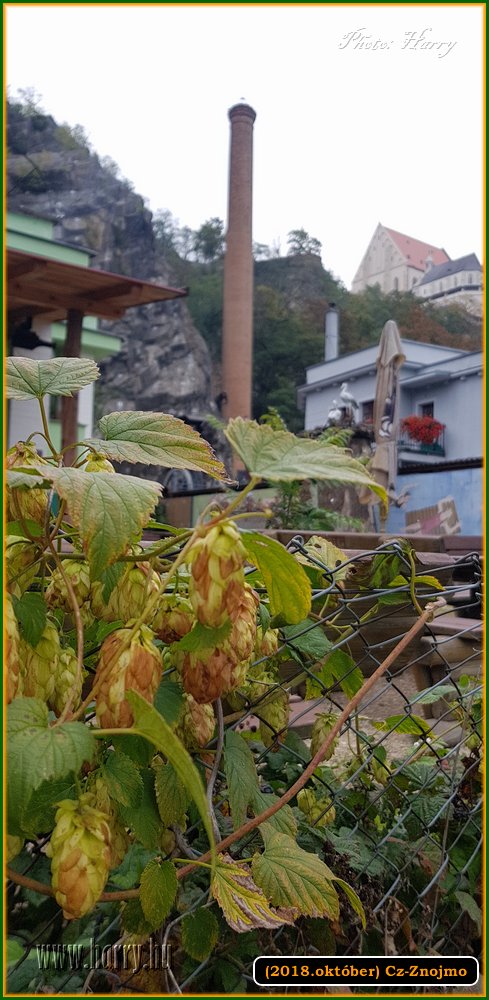 (2018.oktober)Cz-Znojmo-121.jpg