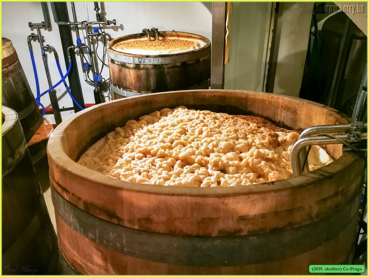 2019.oktober-Cz-Praga-008.jpg