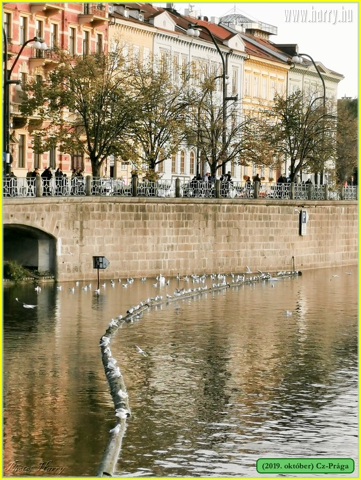 2019.oktober-Cz-Praga-201.jpg