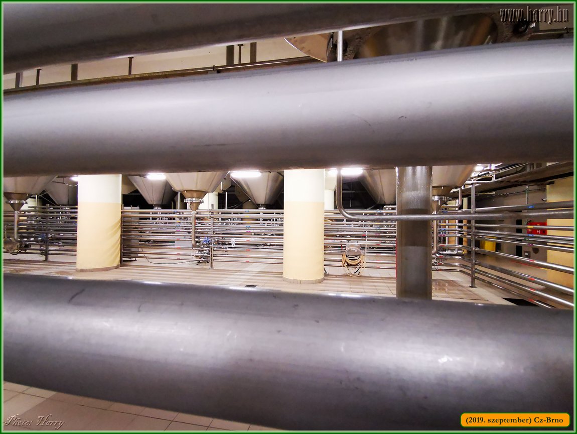 2019.szeptember-Cz-Brno-144.jpg