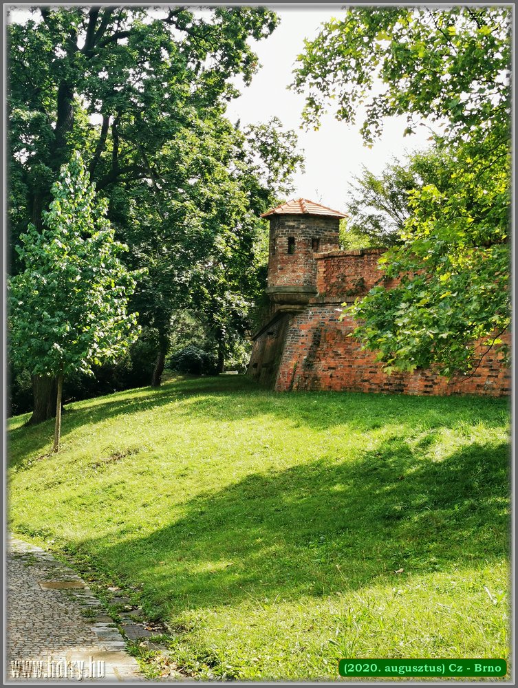 2020.augusztus-Cz-Brno-001-113.jpg