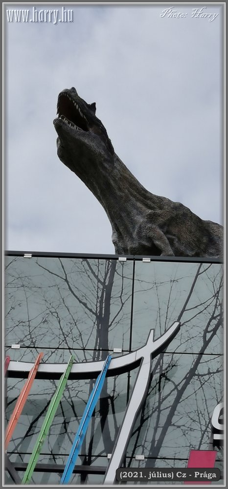 2021.julius-Cz-Praga-123.jpg