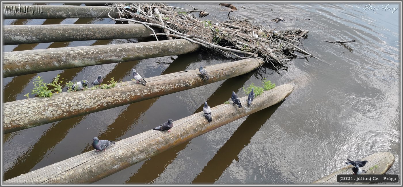 2021.julius-Cz-Praga-181.jpg
