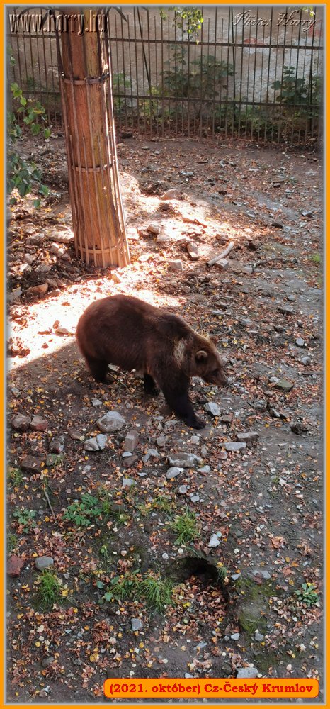 2021.oktober-Cz-Cesky_Krumlov-156.jpg
