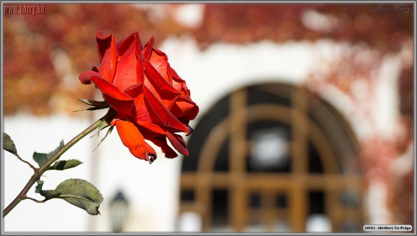 2021.oktober-Cz-Praga-095.jpg