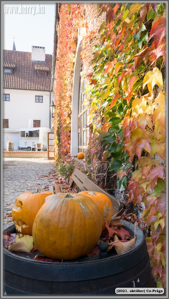 2021.oktober-Cz-Praga-098.jpg