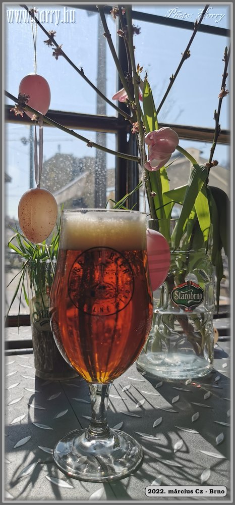 2022.03-Cz-Brno-137.jpg