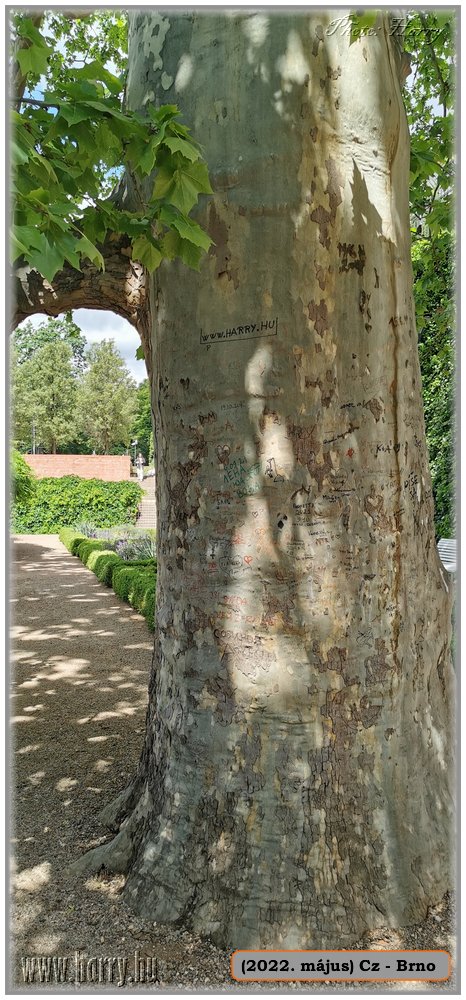 2022.05.-Cz-Brno-054.jpg