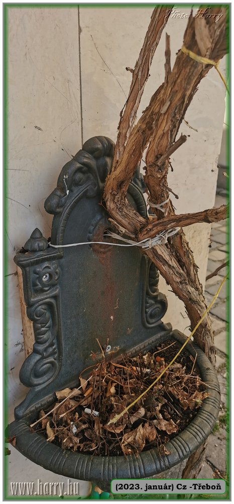 2023.01-Cz-Trebon-15.jpg