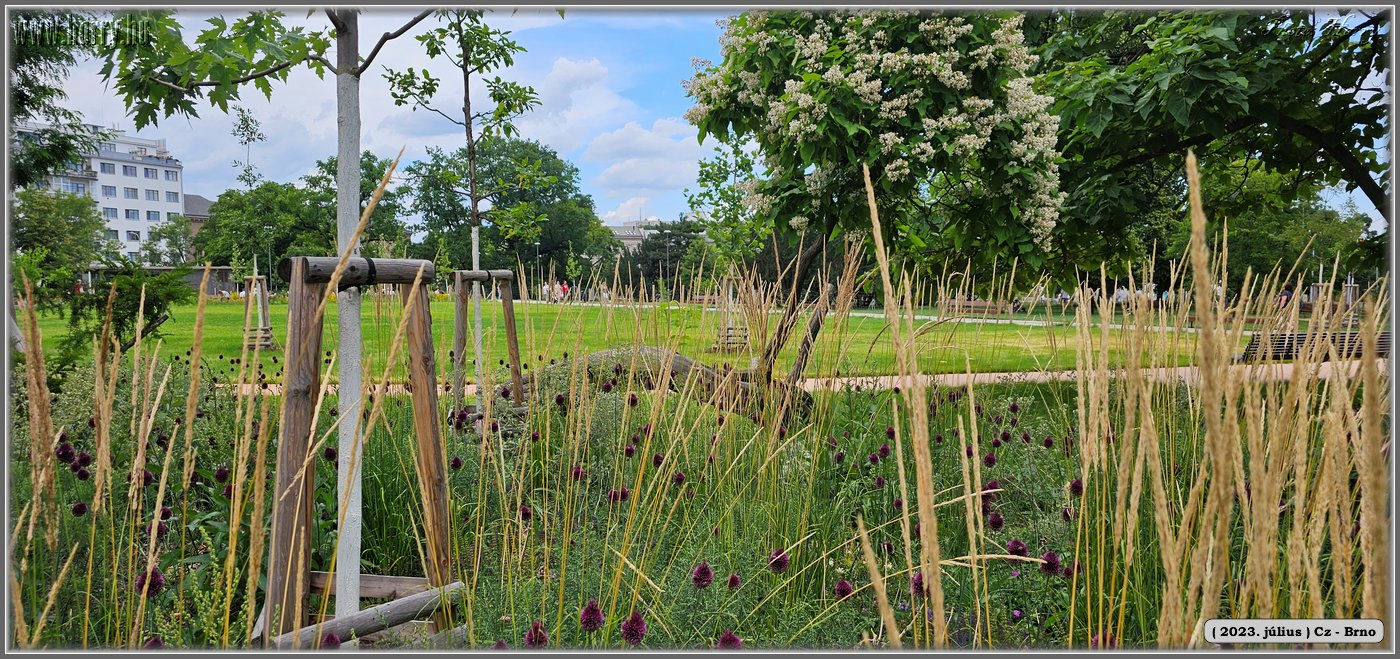 2023.07-Cz-Brno-033.jpg