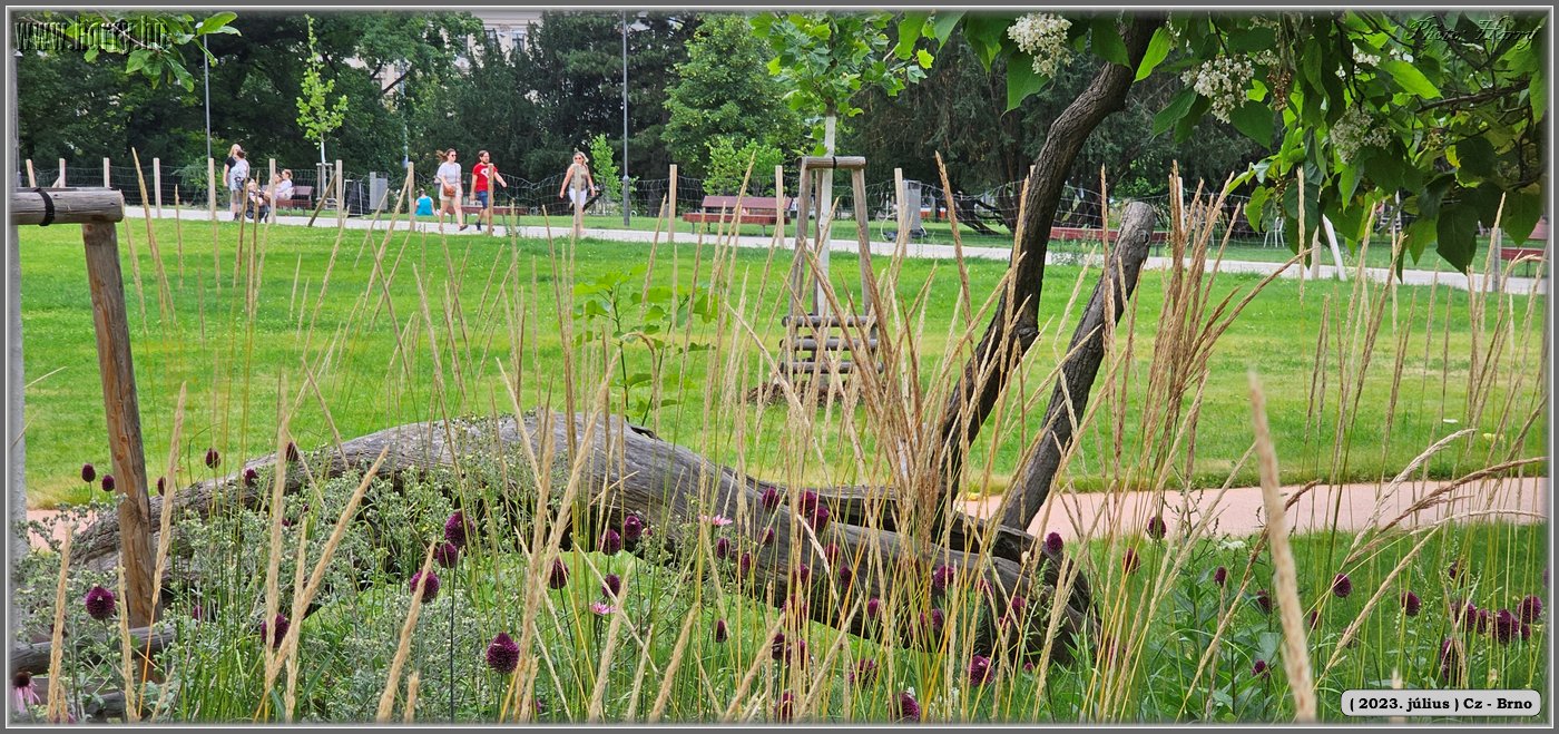 2023.07-Cz-Brno-034.jpg