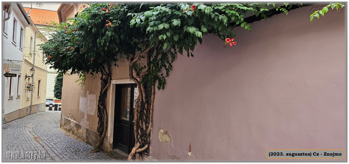 2023.08-Cz-Znojmo-096.jpg