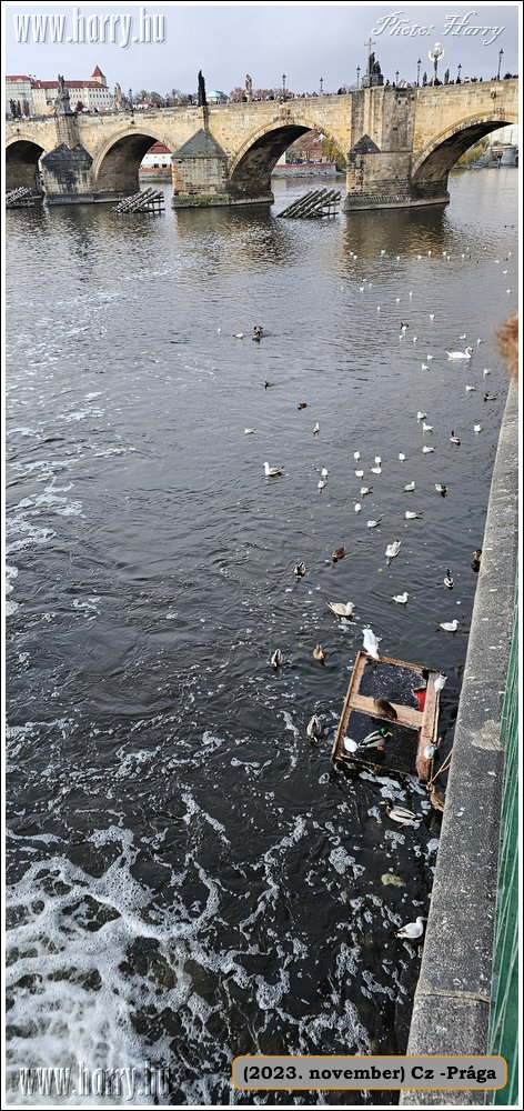 2023.11-Cz-Praga-314.jpg
