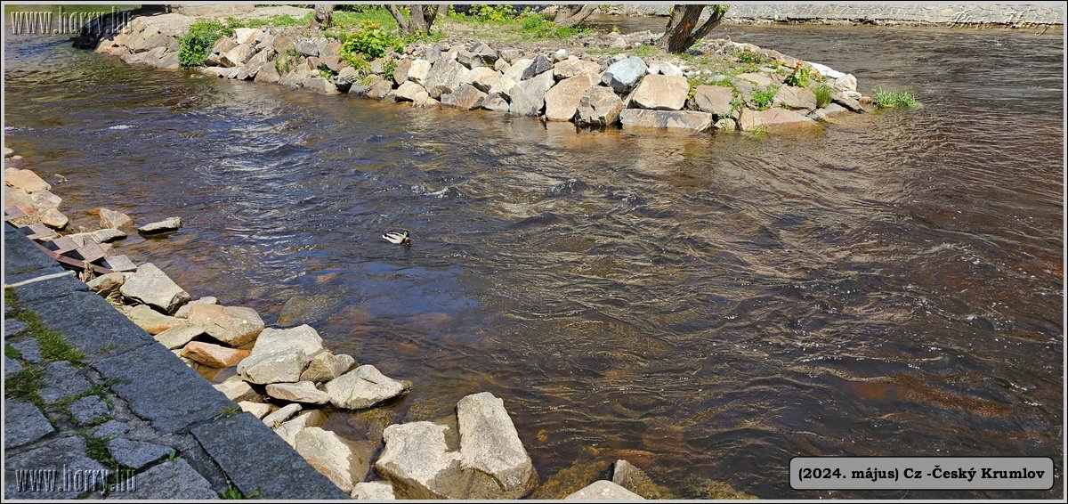 2024.05--Cz-Cesky_Krumlov-310.jpg