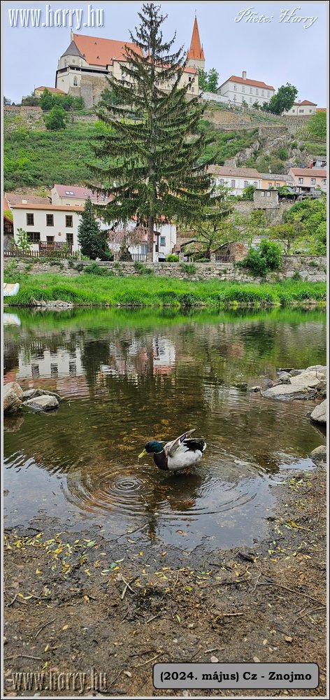 2024.05-Cz-Znojmo-151.jpg