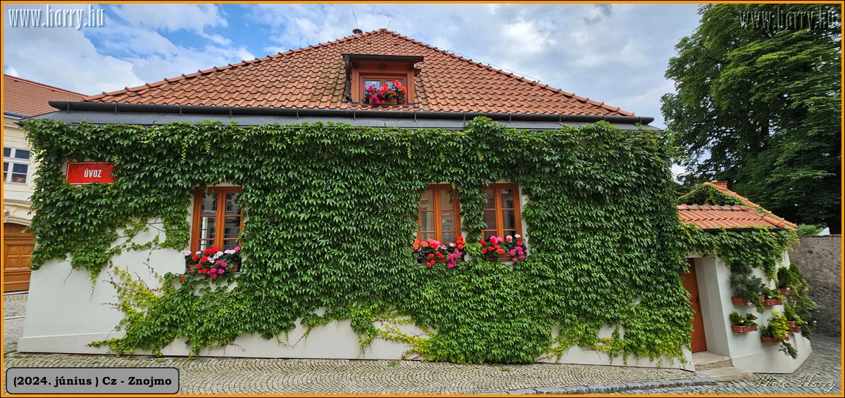 2024.06-Cz-Znojmo-023.jpg