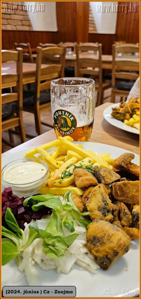 2024.06-Cz-Znojmo-093.jpg