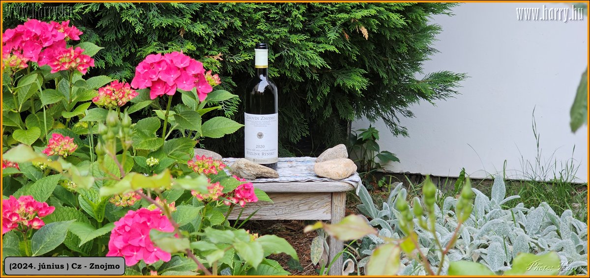2024.06-Cz-Znojmo-126.jpg