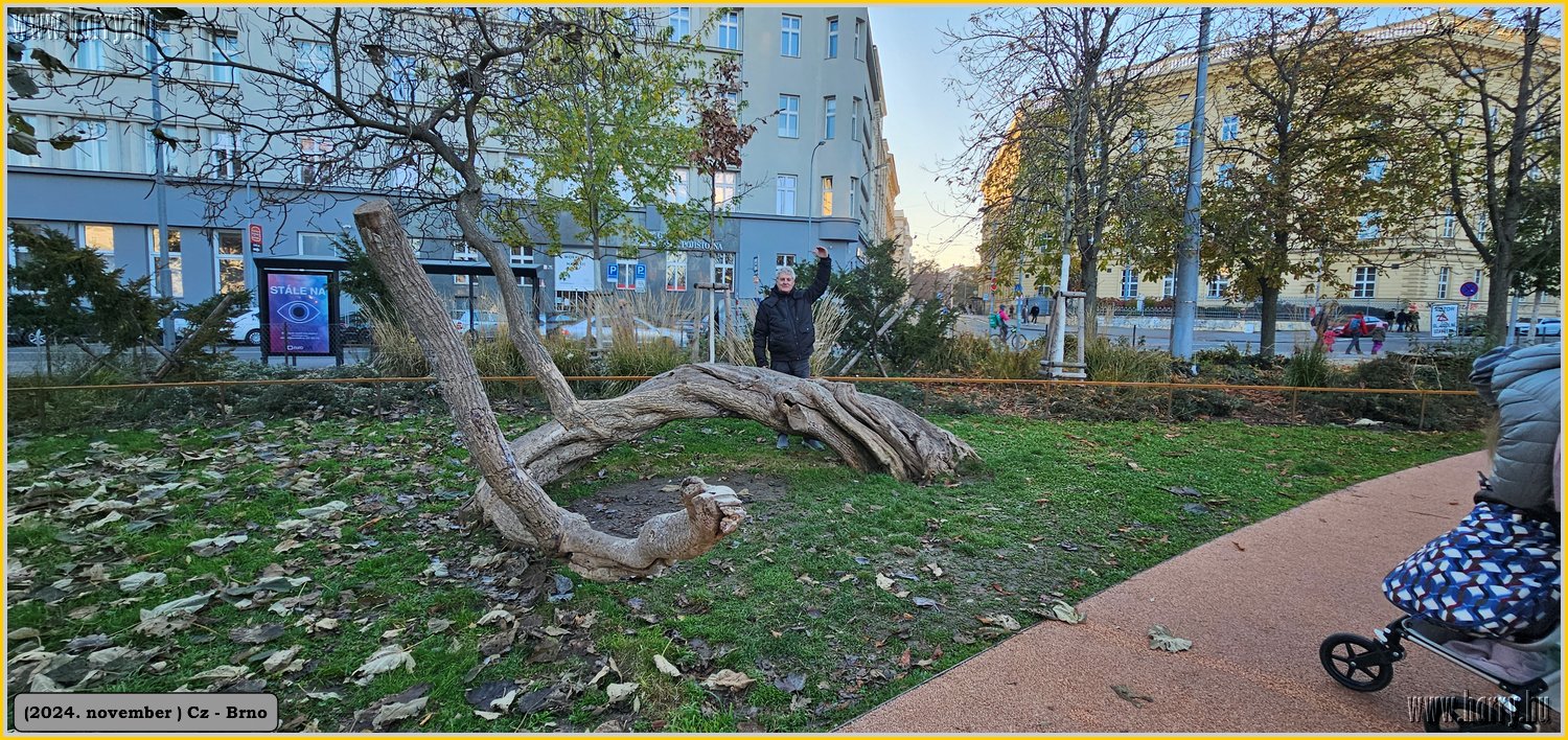2024.11-Cz-Brno-011.jpg