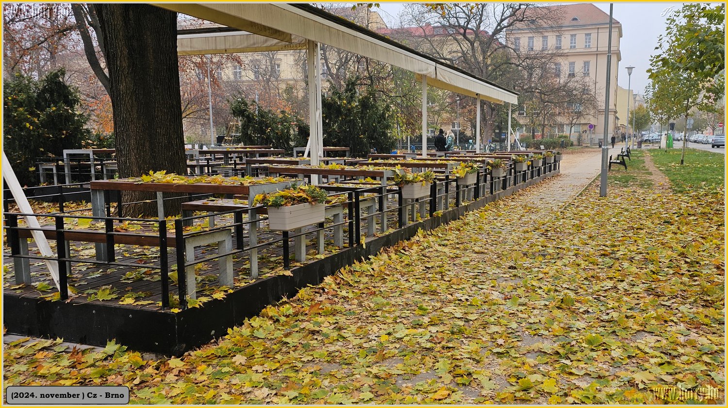 2024.11-Cz-Brno-054.jpg