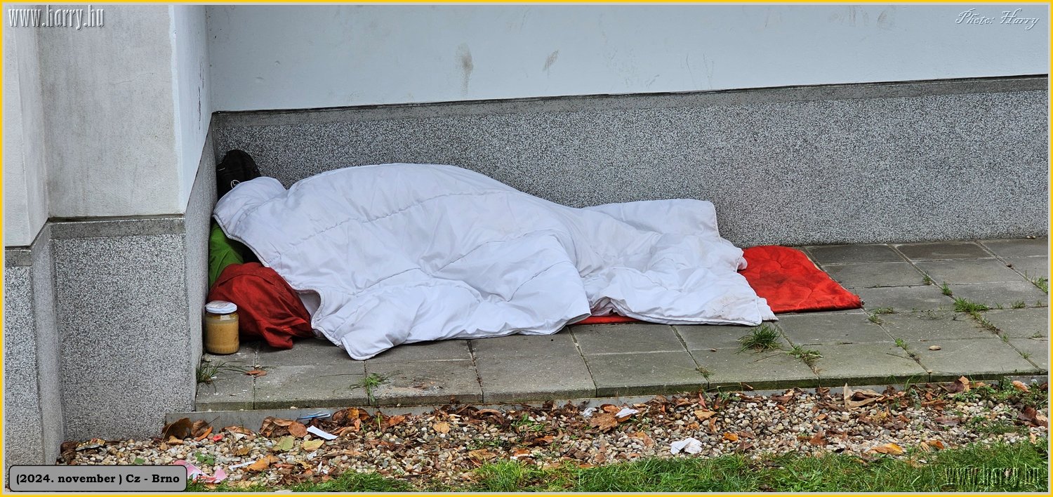2024.11-Cz-Brno-059.jpg