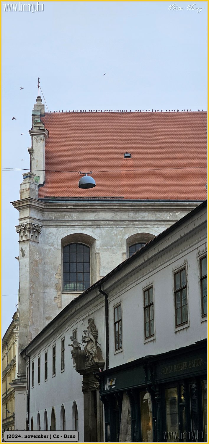 2024.11-Cz-Brno-103.jpg