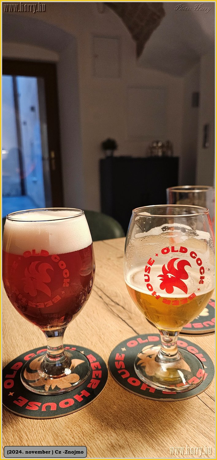 2024.11-Cz-Znojmo-119.jpg