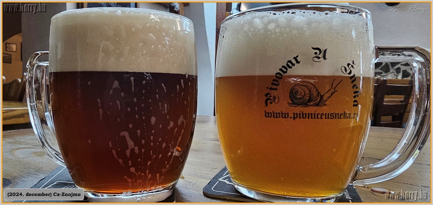 2024.12-Cz-Znojmo-133.jpg