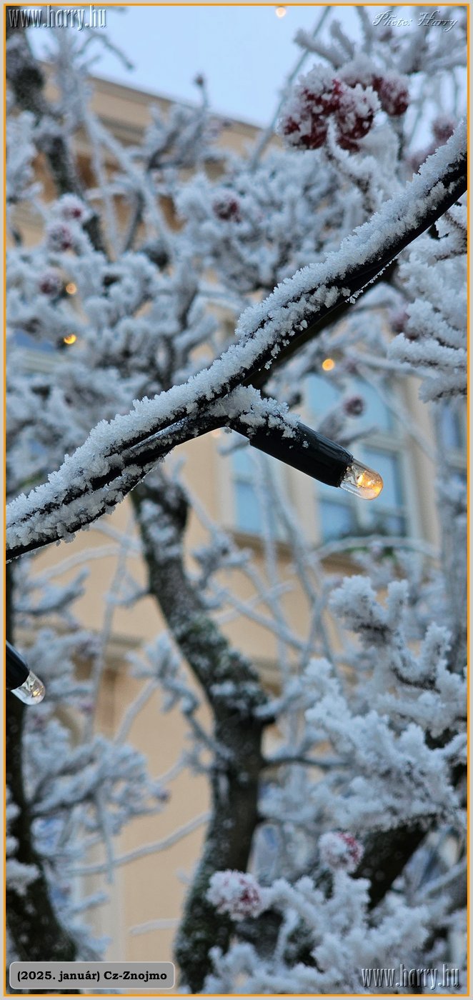 2025.01-Cz-Znojmo-007.jpg