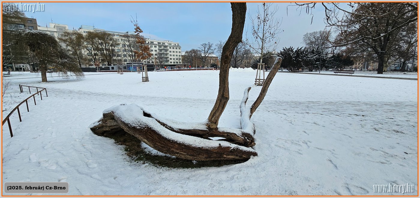 2025.02.-Cz-Brno-058.jpg