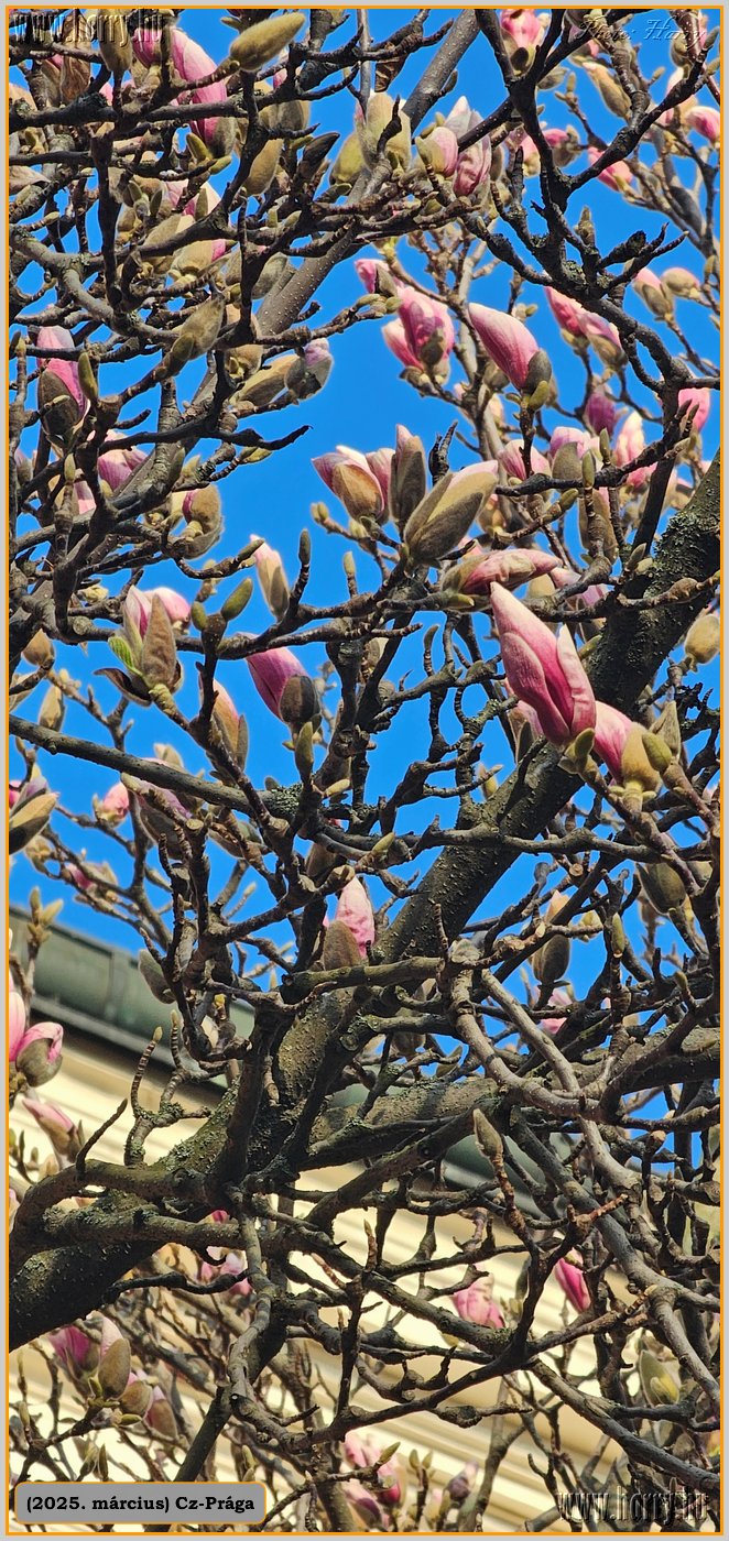 2025.03.-Cz-Praga-005.jpg