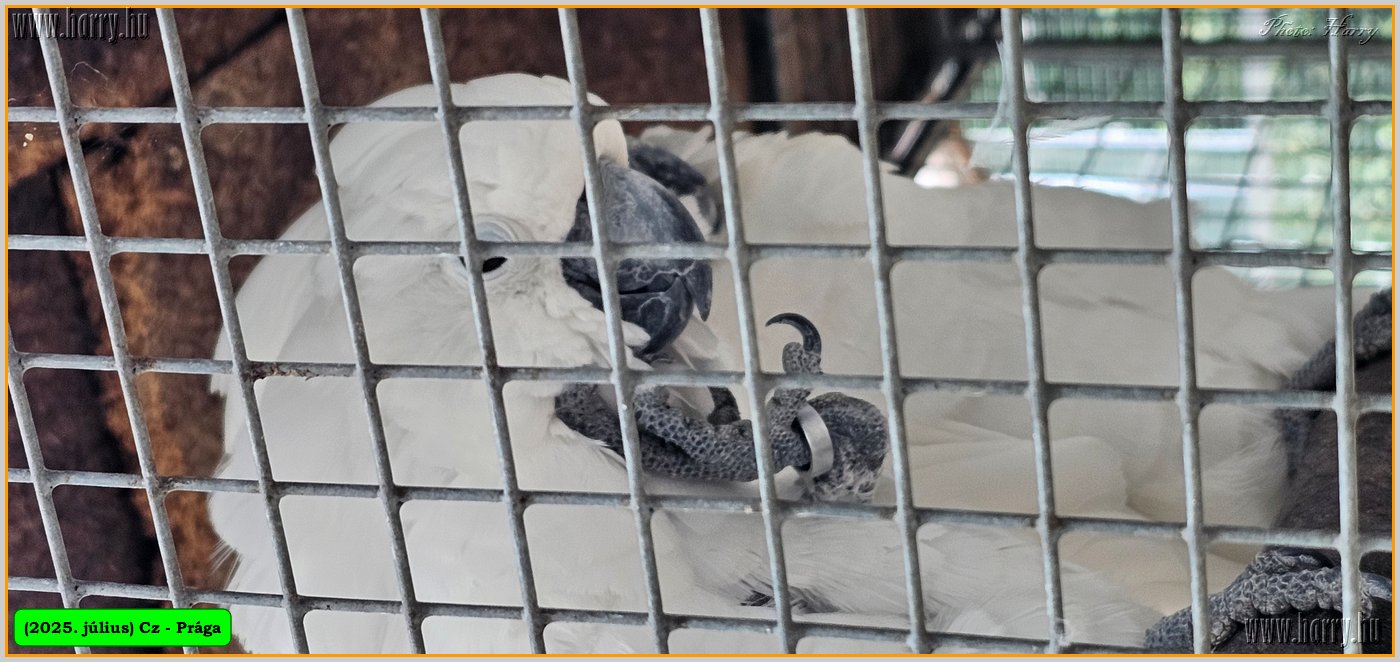 2025.07.-Cz-Praga-30-69.jpg