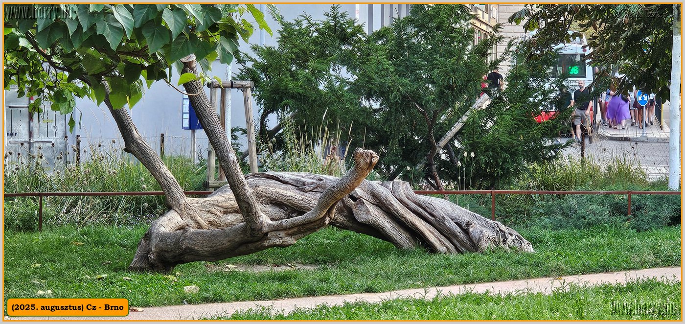 2025.08.-Cz-Brno-054.jpg