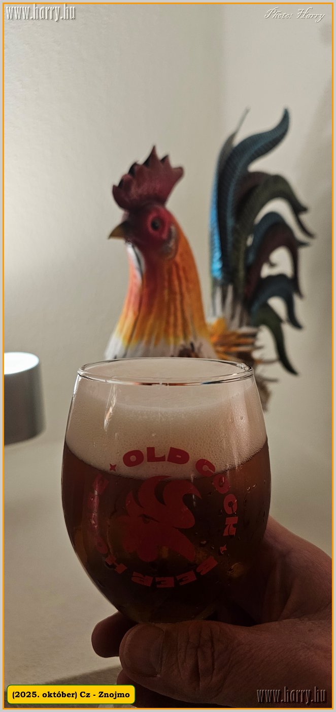 2025.10.-Cz-Znojmo-058.jpg