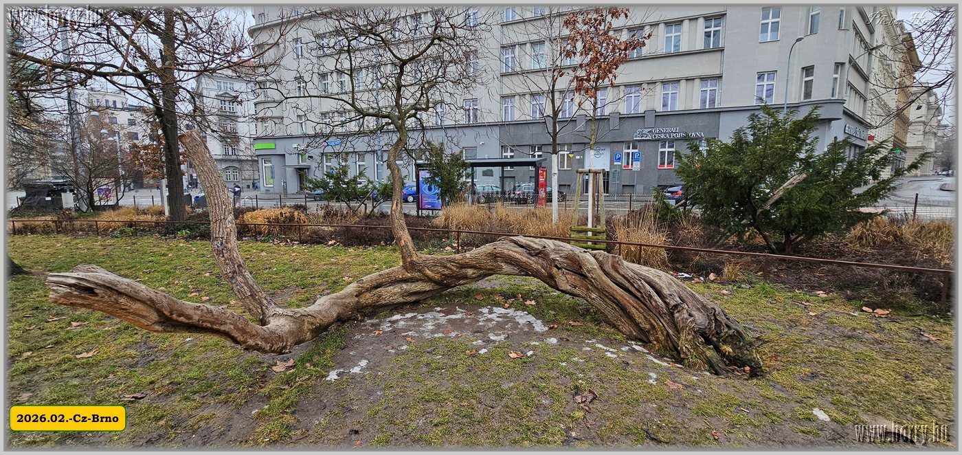 2026.02.-Cz-Brno-013.jpg