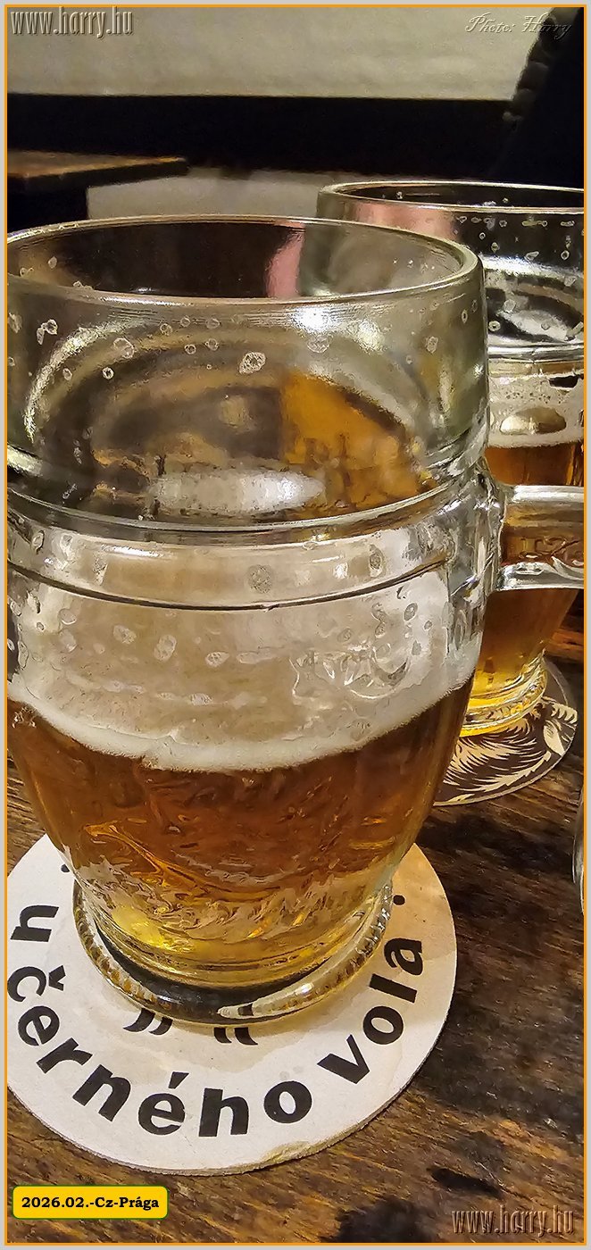 2026.02.-Cz-Praga-033.jpg